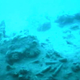 Illustration for article titled Ship Wreck Graveyard